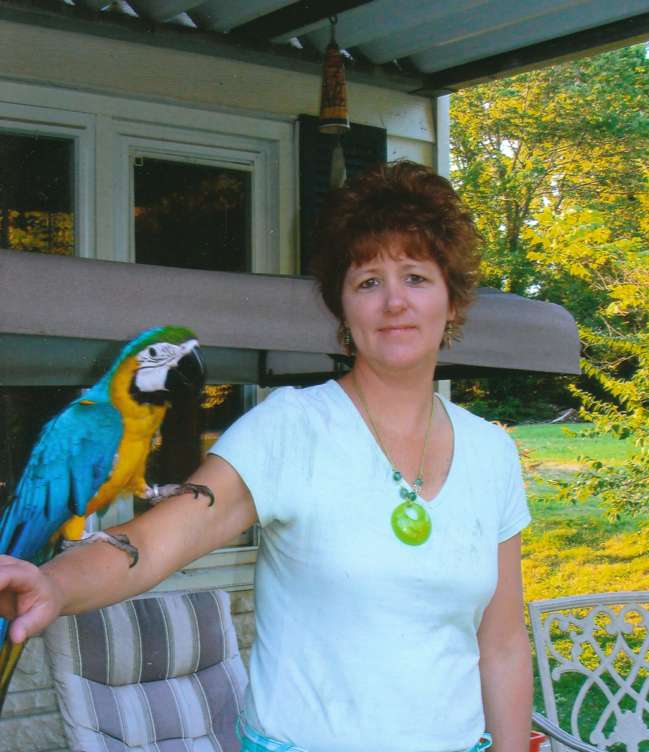 Blue and Gold Macaws - Ts Exotics Parrots for Sale Bird Boarding- Avian Luxury Suites™